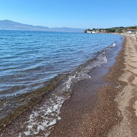 Basarir Privatunterkunft Ayvacik (Canakkale)